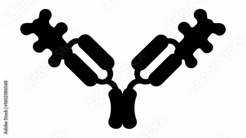 Illustration of a stylized antibody molecule with heavy and light chains in black on a white background