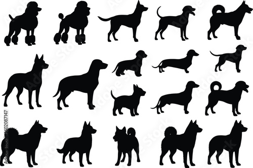 Collection of diverse dog breed silhouettes in various poses