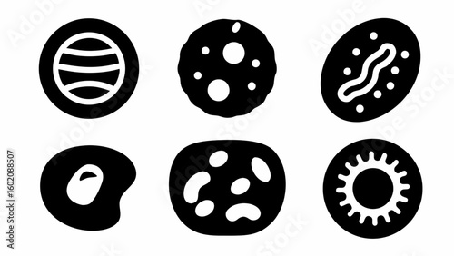 Illustration of six different black and white cell shapes with internal features on a white background