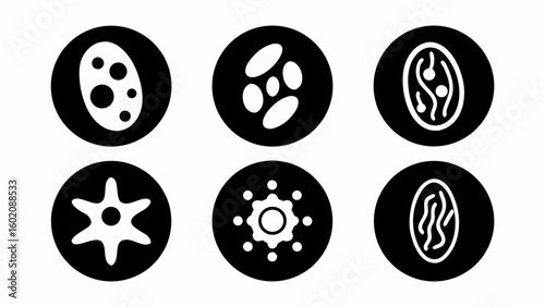Illustration of various cell structures and organelles depicted in black circles with white fill designs