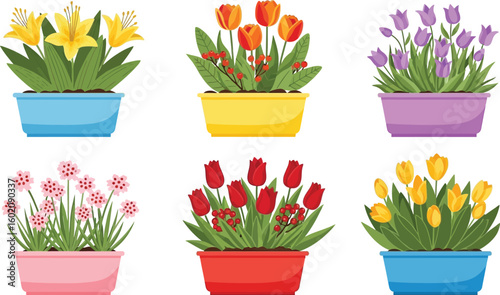 Colorful flower pots vector illustration, spring flowers in pots, garden flowers vector design