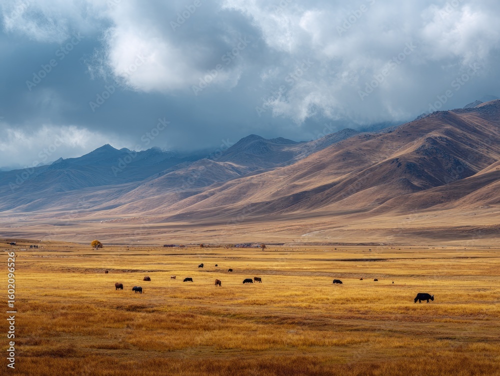 Obraz premium Vast golden steppe under dramatic sky