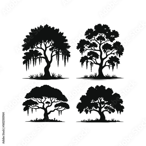 Black and white silhouette design of  cypress trees, Spanish moss Tree