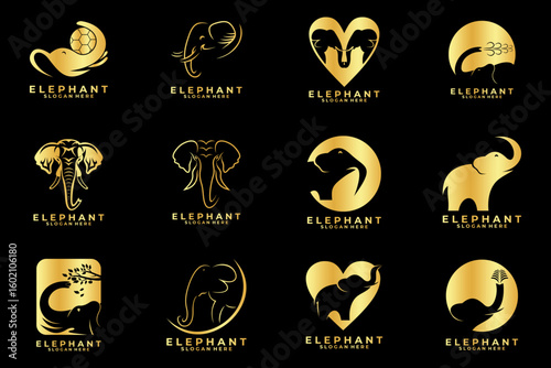 Elephant set logo design vector. gold elephant logo collections