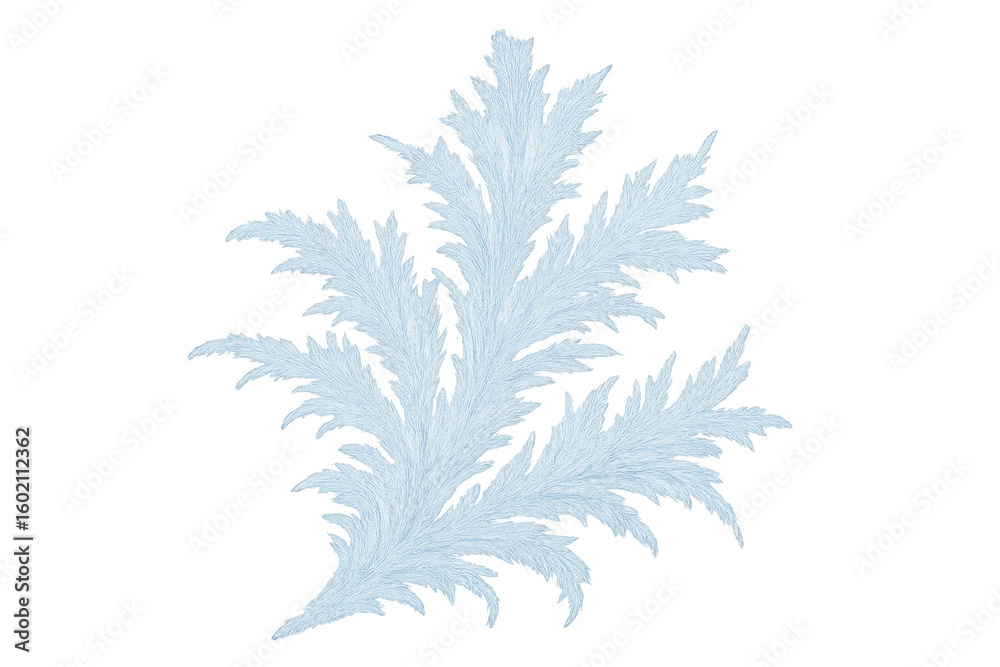 Fototapeta premium Delicate frost spreading intricate, feathery ice crystals on transparent surface, highlighting winter's crystalline beauty