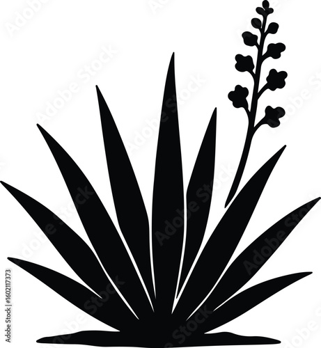 Silhouette agave plant with flower black and white Vector Illustrator