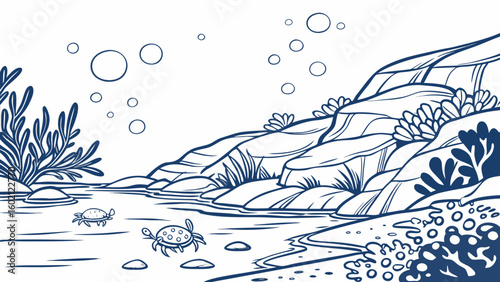 Ocean floor with rocks seaweed and two cute crabs