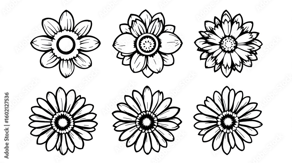 Six stylized floral illustrations in black ink, showcasing various stages and designs