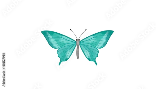 Teal butterfly, flat design, isolated on white