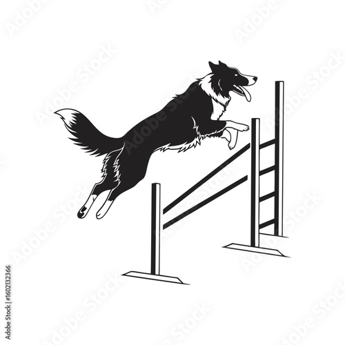 silhouette of a border collie jumping over an obst