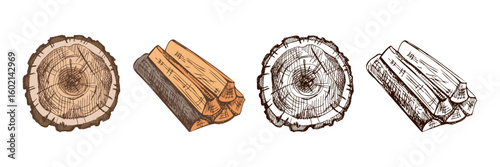 Hand drawn vintage sketch of firewood and tree stump cross section in color and monochrome rustic version
