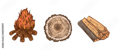 Hand drawn vintage sketch of campfire, tree stump and firewood logs in colored rustic engraved forest style