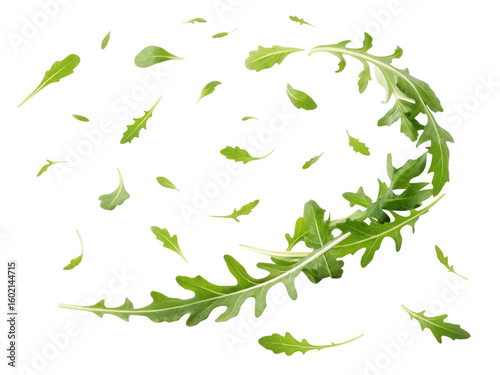 Fresh arugula leaves swirl gracefully in air creating vibrant and lively scene perfect for salads or garnishes