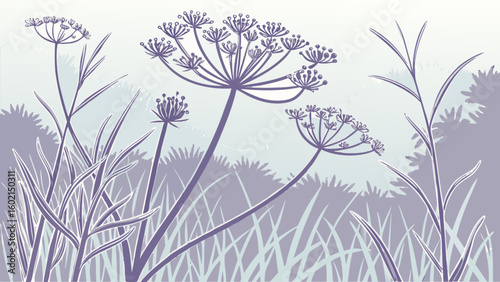 Botanical illustration of wild dill flowers and meadow grass vector drawing nature scene vintage style art