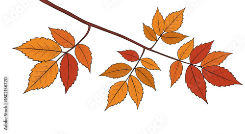 Autumn leaves on branch: vibrant seasonal foliage in flat design