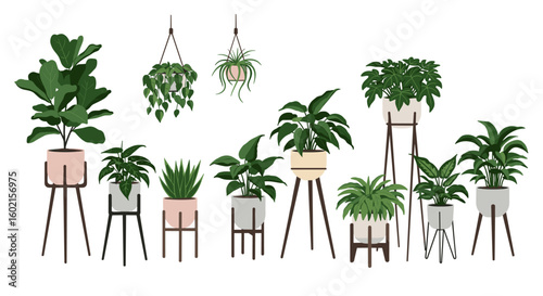 Modern indoor plants in pots with stands and hanging planters