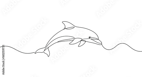 Continuous line dolphin drawing: elegant minimalistic marine life art