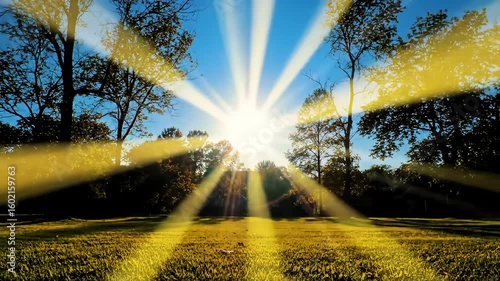 Landscape with radiant sunlight beaming through trees onto a grassy field