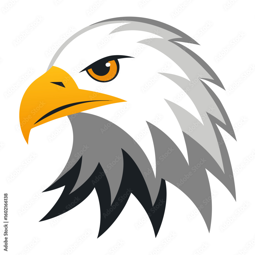 Fototapeta premium Eagle Head