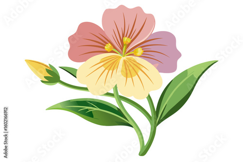 Watercolor flower illustration of pansy with bud and leaves for botanical design element
