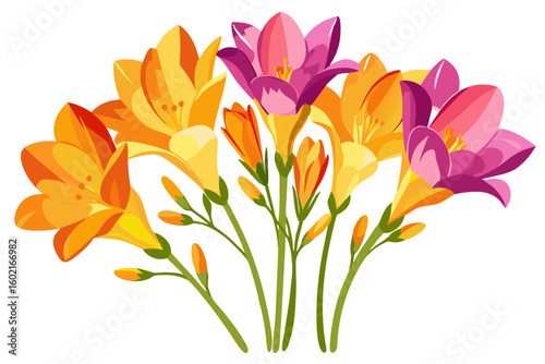 Beautiful freesia flower bouquet vector illustration for spring floral design and decoration needs