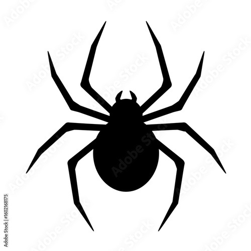 Silhouette of a spider with eight legs on display