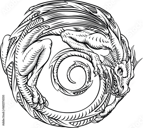 Coiled circle dragon design in detailed vintage woodcut style. Intricate black and white fantasy illustration with ornate linework, ideal for tattoos, mythological themes, or symbolic designs