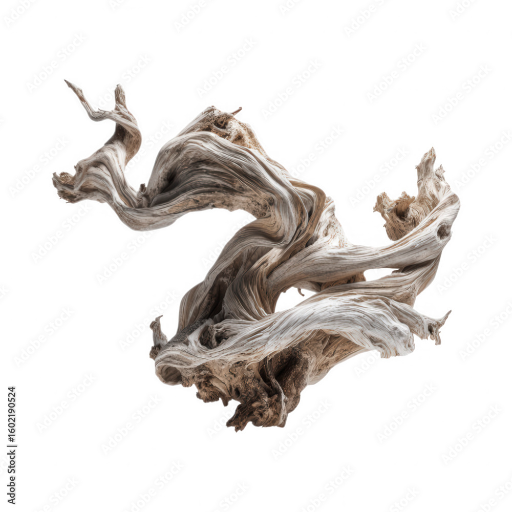 Fototapeta premium Elegant Organic Twisted Gnarled Tree Root Sculpture isolated On Transparent Png Background.