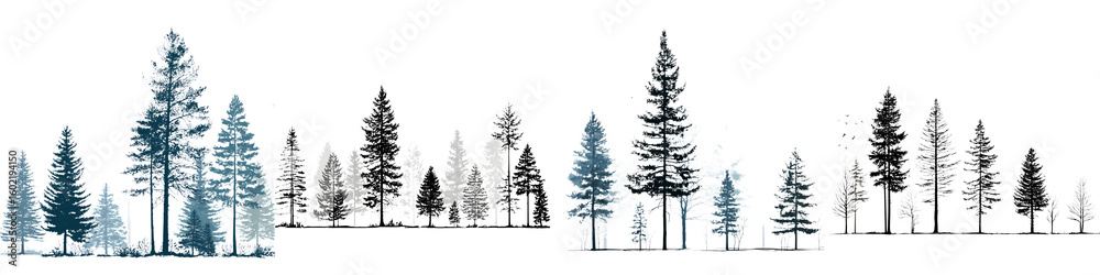 Fototapeta premium Pine Tree Forest: Evergreen Landscape Illustration