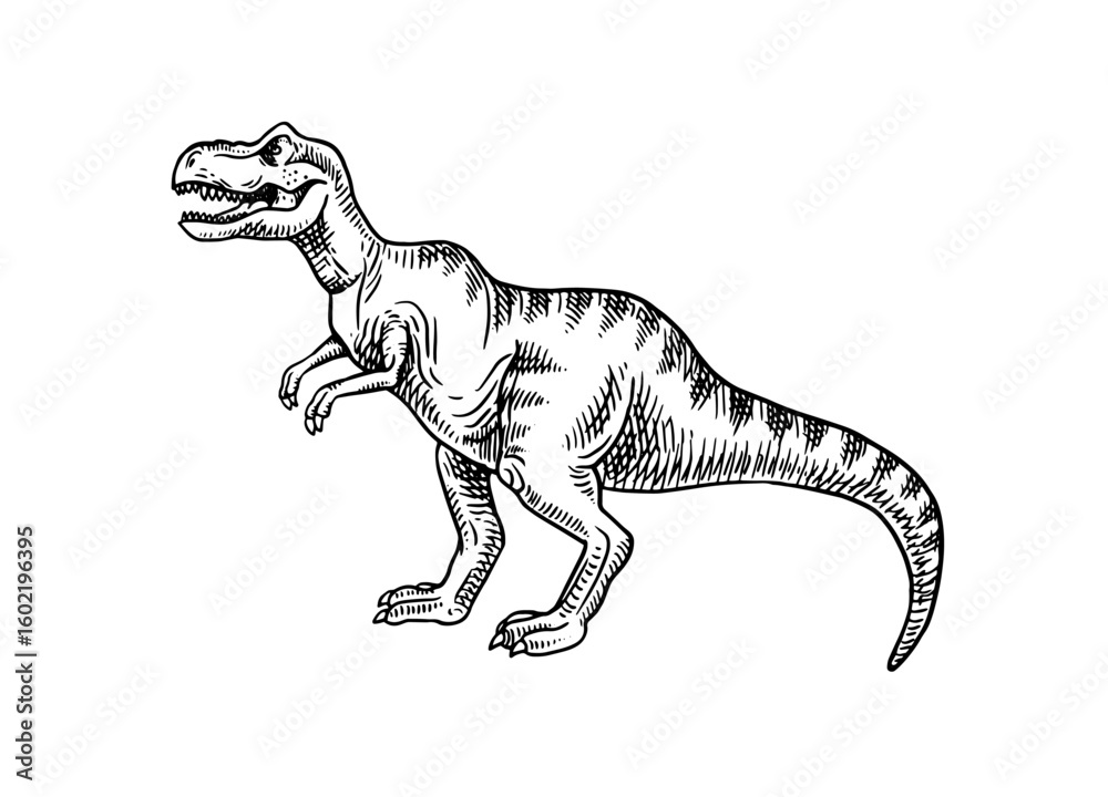Obraz premium Hand drawn dinosaur T-rex illustration. Vector sketch isolated prehistoric animal on white background