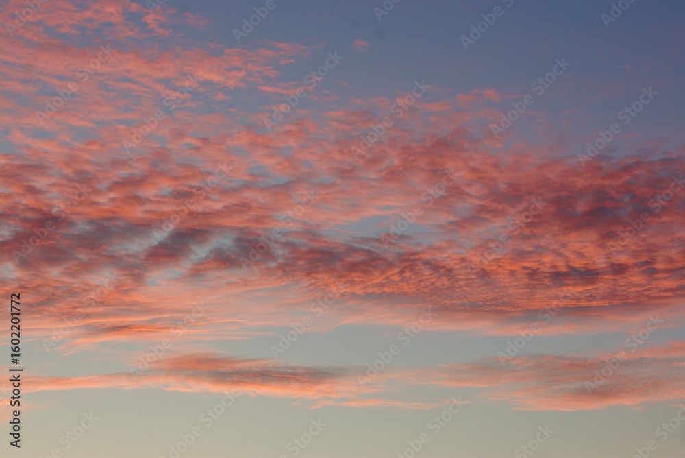 Fototapeta premium Vibrant pink and orange sunset clouds, forming a picturesque sky canvas.