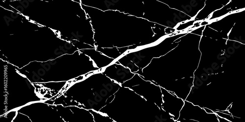 "A striking, high-contrast black and white abstract pattern resembling fractured glass or lightning bolts across a dark sky, emphasizing sharp lines and dynamic tension."