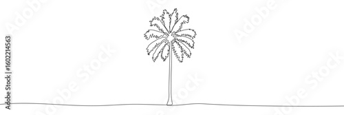 Single palm tree in minimal one-line drawing. Tropical vacation concept. Continuous line vector illustration