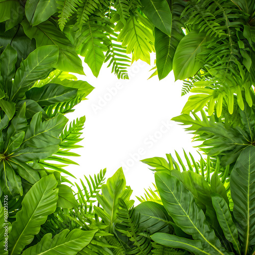 Green Tropical Leaves Border: Lush Foliage Frame with Copy Space on White Background
