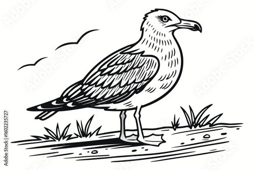 Seagull standing on shore with grass and clouds in the background showcasing coastal wildlife in its natural habitat during daylight hours