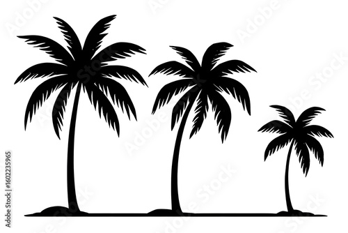 Black Silhouettes of Tropical Palm Trees Isolated on White Background for Summer Design