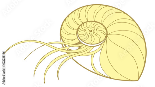 Illustration of a golden nautilus shell with tentacles on a white background in a side view design
