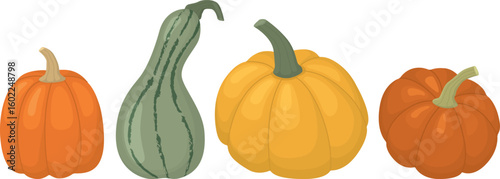 Set of autumn pumpkins isolated on white background. Cute colorful vegetables