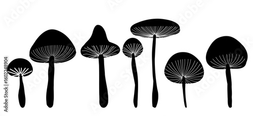 Vector set of black silhouette stylized fly agarics clip arts. Collection of print of magic amanita mushrooms for postcards, book illustrations, stickers.