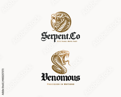 Vintage classic wild king cobra with venom logo template