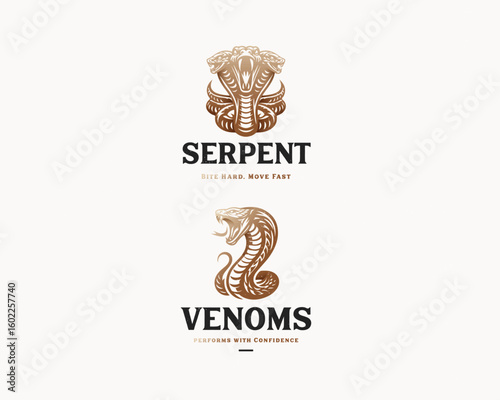 Vintage classic wild king cobra with venom logo template
