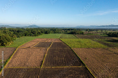 Aerial view of a patchwork of agricultural fields with varying textures and colors under a clear sky, Barotac Nuevo, Western Visayas, Philippines.