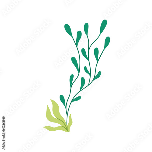 Sea plants underwater. Marine algae and seaweed, green leaves, tropical branches. Undersea ocean water foliage. Exotic oceanic floral nature. Flat vector illustration isolated on white background