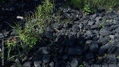 A close-up of dark, jagged rocks and gravel scattered across a natural ground surface, with patches of green grass and wild plants growing between the stones