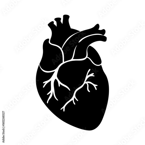 Stylized anatomical heart illustration in black silhouette on a white background