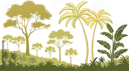 Tropical forest landscape with palm trees and foliage