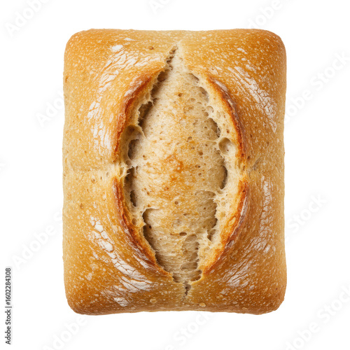 Single mini ciabatta roll with deep split crust, rustic texture ideal for bakery, food styling, or sandwich ingredient visuals.
