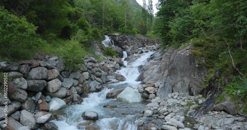 Gentle stream flows through rocky terrain in a tranquil forested valley during the serene moments of early morning light