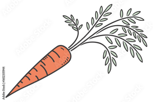 Freshly harvested carrot with vibrant green leaves, ready for cooking or fresh salads, showcasing its natural color and texture