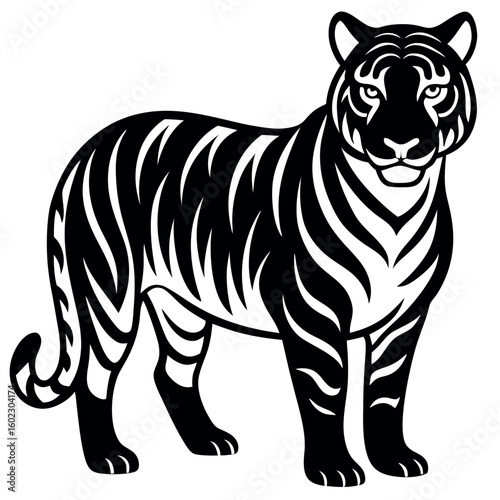 Bold black and white tiger illustration